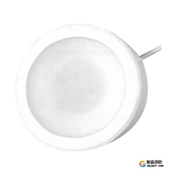 四川海灣HW-ZFJC-E6W-YN651C集中電源集中控制型消防應急照明燈具