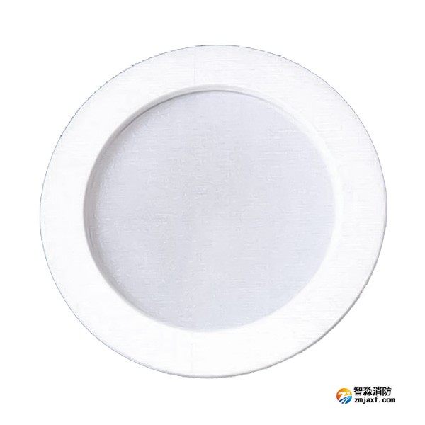 四川海灣SJ-ZFJC-E5W/ZQ5C集中電源集中控制型消防應急照明燈具 吸頂/壁掛