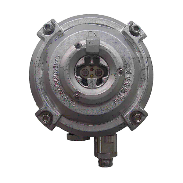 四川海灣D-9107R防爆點(diǎn)型紅外火焰探測器